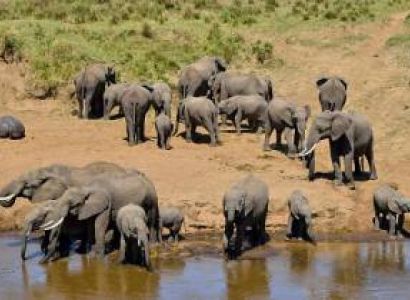 5 Days Luxury Safari