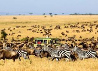 5 Days Luxury Safari