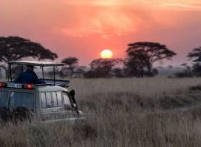 5 Days Luxury Safari