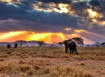 6 DAYS WIlDEBEESTS MIGRATION NDUTU