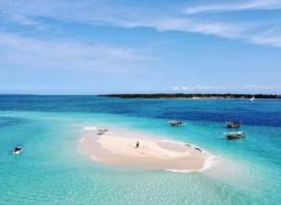 Safari Blue Zanzibar