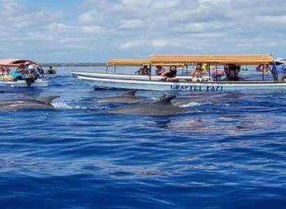 Pungume Island Zanzibar ( Dolphin + Snorkiling)