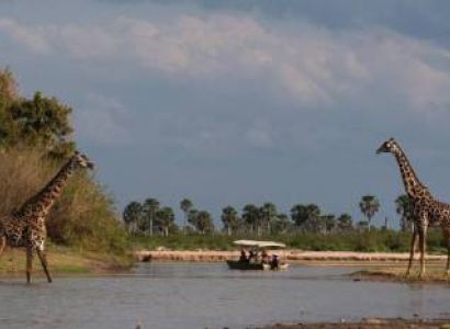 2 Days Selous National Park Tour