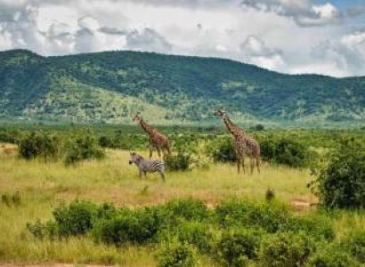 5 Days Tanzania Safari Tour