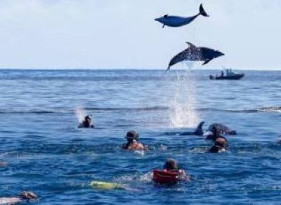 One Day Zanzibar Dolphin-Kizimkazi Tour
