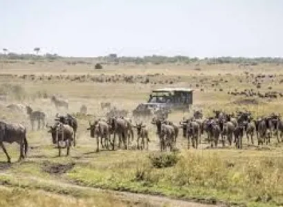 The Great Rift Valley Circuit - Lake Nakuru - Lake Naivasha Tour