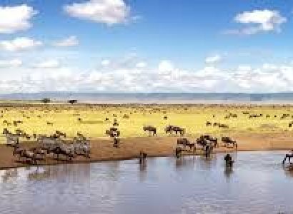The Diverse Adventure - Lake Nakuru - Maasai Mara Tour