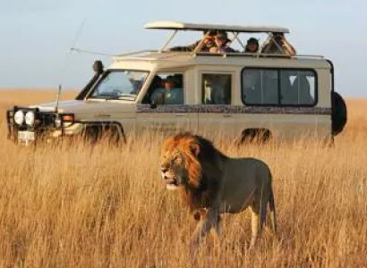 3 Day - 2 Night Maasai Mara Tour