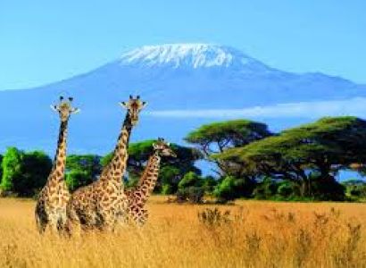 3 Night - 4 Day Kenya Package