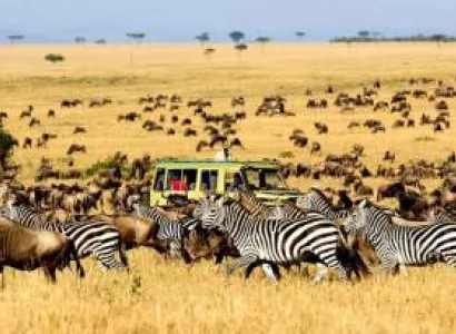 The Iconic View - Amboseli National Park Tour