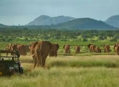 8 Days and 7 nights Kenya Package