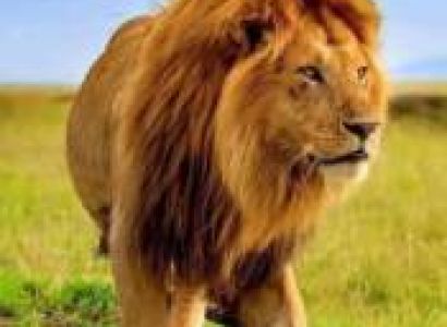 Samburu Tour Packages