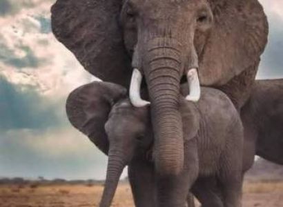 Samburu Tour Packages