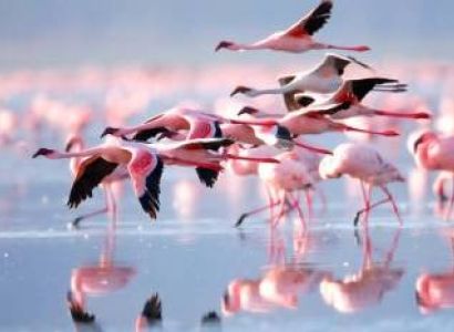 Samburu Tour Packages