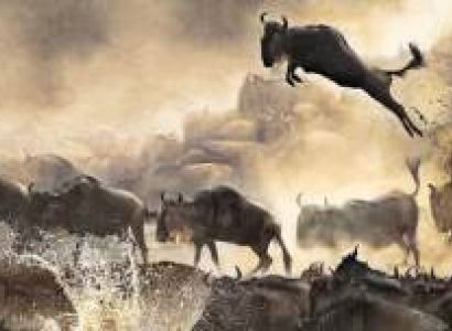 Samburu Tour Packages