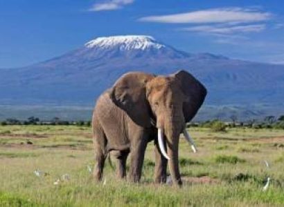Kenya Safari 11 Days 10 Nights 4 Adults