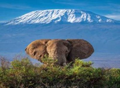 Samburu Tour Packages