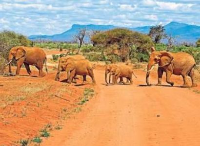Samburu Tour Packages
