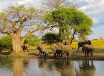 2 Days Safari – B. Tarangire National Park  & Lake Manyara Manyara National Park