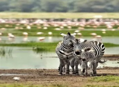 2 Days Safari – B. Tarangire National Park  & Lake Manyara Manyara National Park