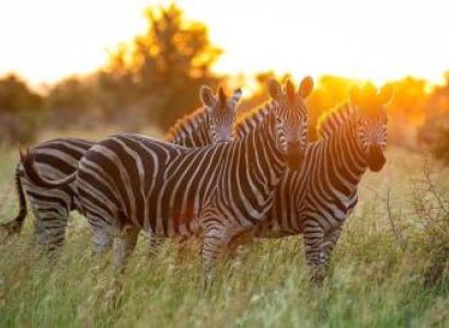2 Days Safari – B. Tarangire National Park  & Lake Manyara Manyara National Park