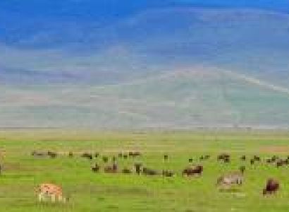 2 Days Safari - A. Ngorongoro - Manyara Tour