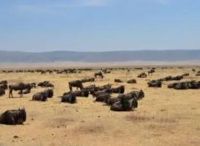 8 Days Tanzania Safari Tour