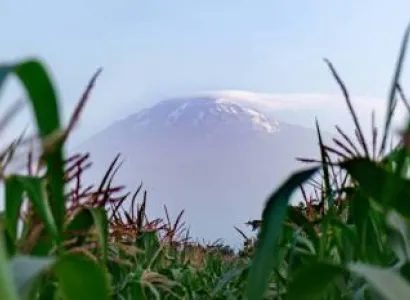 1 Day Moshi Town Tour