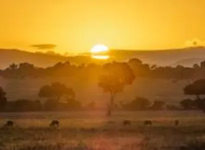 05 Nights Best Of Kenya Safari Tour