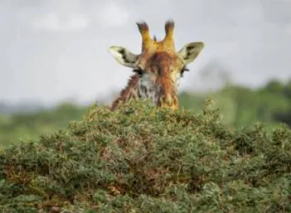 Mount Meru 4 Days - 2 Hotel Nights Tour