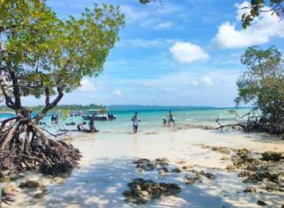 Andaman - Nicobar Island 3N 4D Tour