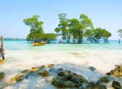 Baratang Island Tour Packages