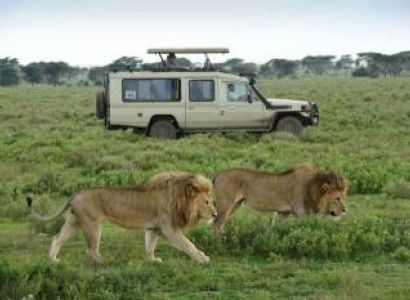 Ngorongoro Tour Packages