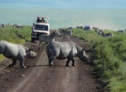 6 Days Tanzania Wildebeests and Zebras Migration