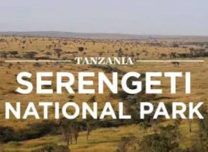 6 Days Tanzania Wildlife Tours and Safari