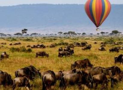 6 Days Tanzania Wildlife Tours and Safari