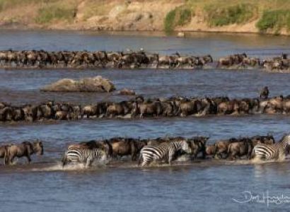 7 Days Tanzania with the Great Migration North Serengeti