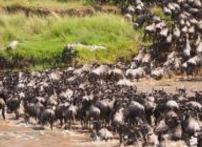 Ngorongoro Tour Packages