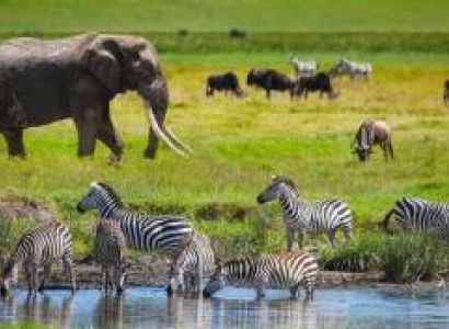 Ngorongoro Tour Packages