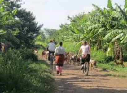 Mto Wa Mmbu Village Day Trip