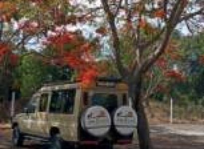 Ngorongoro Tour Packages