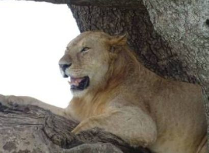 8 Days Of Wilderness In Luxury Tour