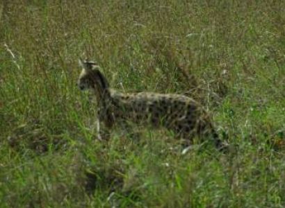 8 Days Of Wilderness In Luxury Tour