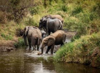 2 Days Tanzania Safari Tour