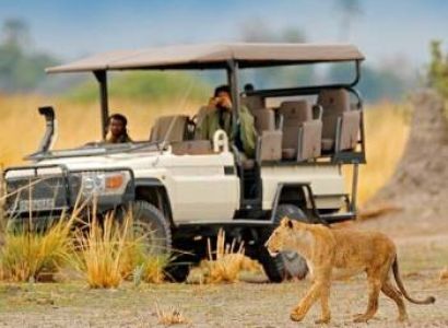 4 Days Luxury Africa Adventure - Migration Tour