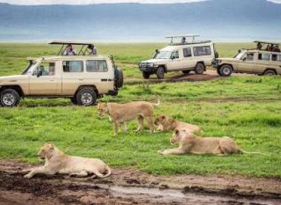 5 Days Luxury Safari For The Sense - Option 1