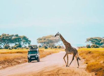 3 Days - From Zanzibar’s Shores To Seronera’s Roars Options - 1