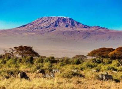 11 Days Southern Kenya Safari Circuit Tour