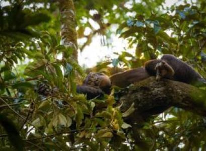 Entebbe Tour Packages