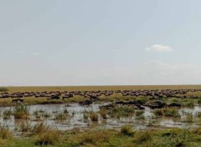 15 Days The Great North Migration-Mara River Crossing Tour